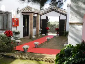 Recepción del hotel adornado con pascueros