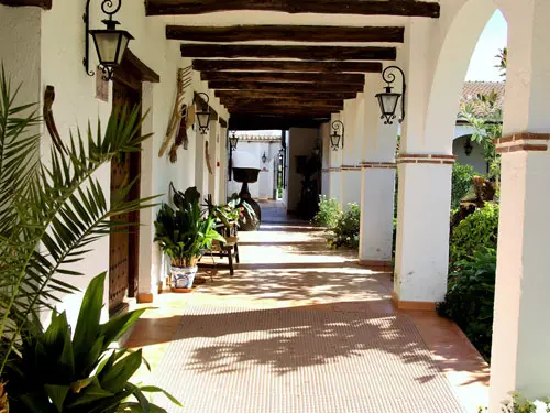 Patio ajardinado